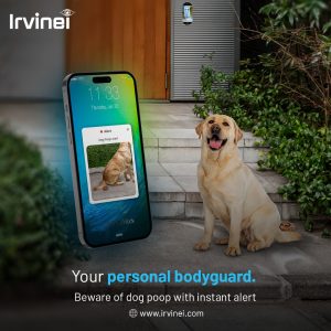 Dog Poop Detection